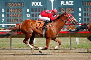 derby-race-image.jpg
